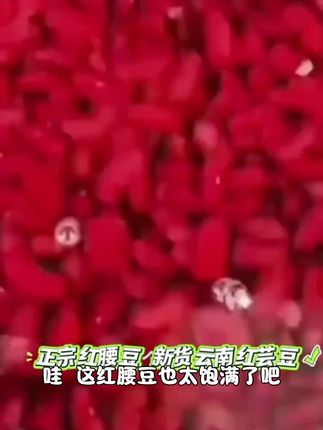 七彩纳沃红腰豆新货云南红芸豆大红豆新鲜五谷杂粮豆沙馅料红豆汤#真的很好吃#上热门#美食分享