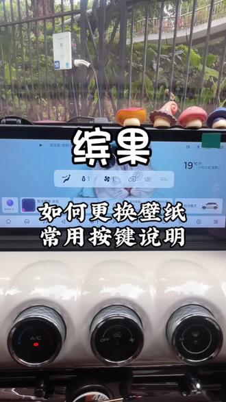 #缤果 壁纸更换及常用按键,是🍠和🫘问的较多的问题,一条视频说明一下…新入手果子的姐妹们可以看过来~#一般人不告诉他 #晒出你的座驾 #女司机的车 #车知识分享计划