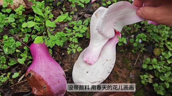 没带颜料用春天的花儿画只小鹿#画画#春天的颜色#小鹿