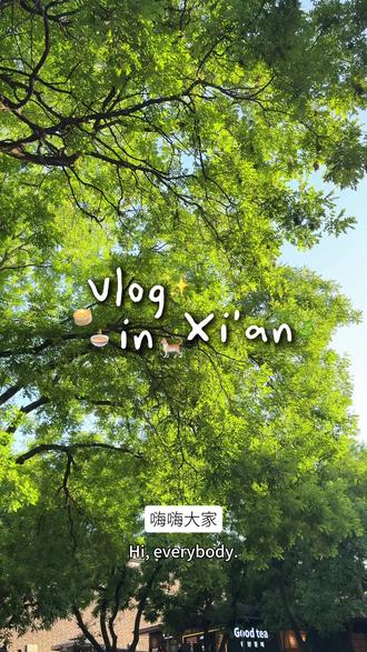 西安vlog.带墨西哥友品鉴魏家凉皮🍜超多饮食差异!!! #立夏必吃美食 #dou来这座城 #外国人在中国 #外国人吃中国美食 #西安美食