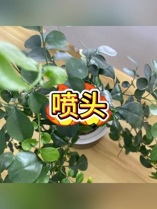 #水龙头增压器 #水龙头防溅神器 #水龙头延长管