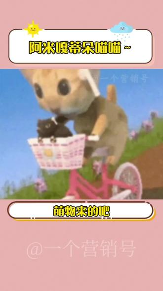 阿米嘎蒂朵喵喵~#汽水音乐 #阿米嘎蒂朵喵喵 #阿米嘎蒂朵逐渐抽象