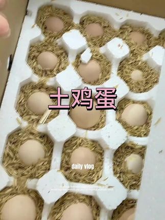 #土鸡蛋#农产品#好物推荐🔥