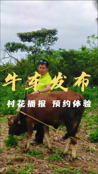 新一代牛车发布,舒琪姐姐喜欢的卡布里蓝配色,360度敞篷,驾乘感拉满,预约体验#雷军 #舒琪 #小米SU7 #乡村振兴