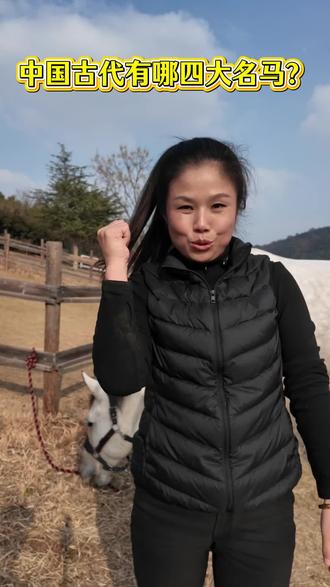 中国古代有哪四大名马?#马#骑马#名马