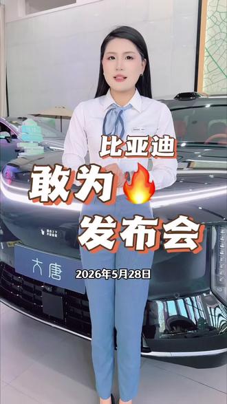 比亚迪 敢为天下先!