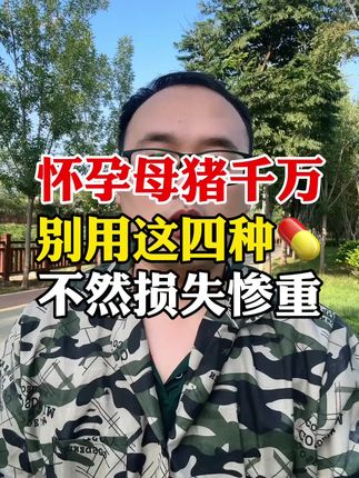 怀孕母猪千万别用这四种药 #母猪#一线兽医工作者 #每天分享实战养猪经验 #所有养猪人 #养猪人不容易