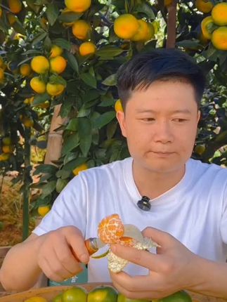 江西赣南寻乌蜜橘现摘无籽青皮桔子新鲜应季水果3/5斤#寻乌蜜桔 #应季水果