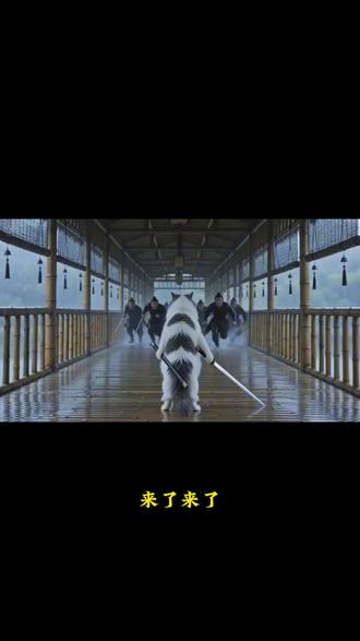 你们都在找的骤雨竹廊猫咪ai打斗视频教程来啦!#小云雀AI #小云雀爆款马上成片 #小云雀seedance 骤雨竹廊猫咪打斗视频教程 #大战奥特曼 #seedance2.0 大战奥特曼ai制作教程 假面骑士视频制作教程 小云雀ai 哈基米大战奥特曼 猫咪大战怪兽 骤雨竹廊猫咪大战 女朋友大战怪兽 骤雨竹廊制作教程 seedance2.0使用教程 奥特曼大战视频
猫咪打斗视频 猫咪大战黑衣人 小云雀使用教程 ai视频