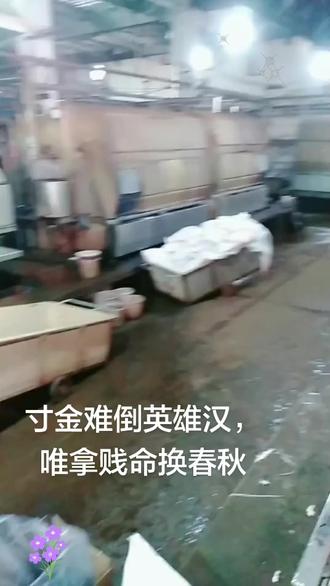 我笑青山容不老,青山笑我莫少年