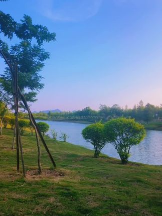 #治愈系风景 #美景美景 #每日更新 #愿你天天都快乐 #美景