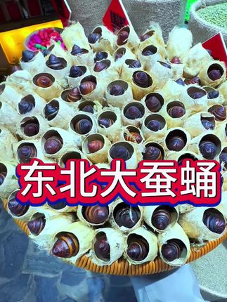 吃过才能明白它有多美味 #蚕蛹#蒿柳蚕蛹#茧蛹