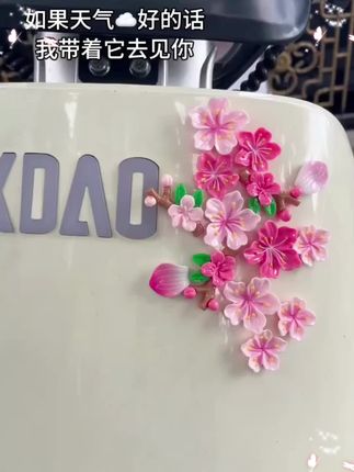 这个桃花车内饰品摆件也太好看了吧!把它摆在车上,整个车子都变得漂亮了,而且它不仅是一个好看的装饰品,还能让你的心情变好#车贴拉花 #桃花 #贴花 #立体车贴 #3d立体花