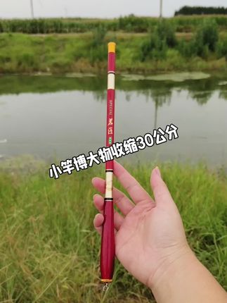 #超短鱼竿#高碳鱼竿@DOU+小助手