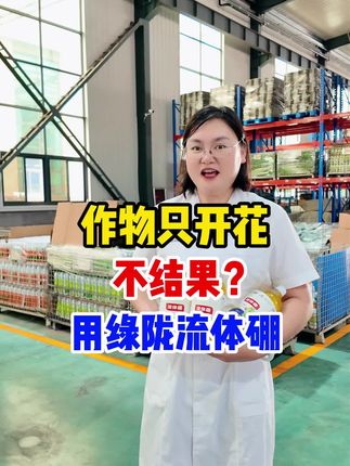 作物只开花不结果、坐果率低,原来是缺了硼,绿陇流体硼快用起来吧!#绿陇官方旗舰店#源头实力厂家 #种植小技巧#三农#农业种植
