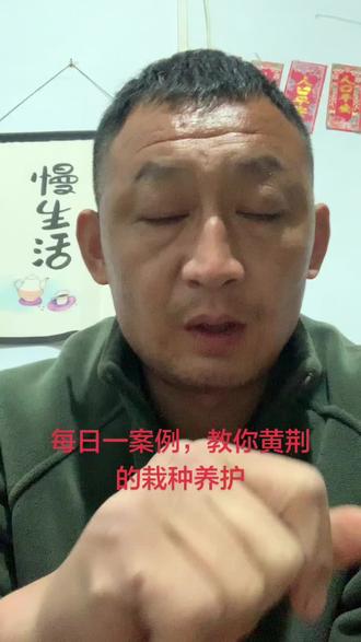 #热门 #黄荆#盆景素材 #原创#茶空间@DOU+上热门