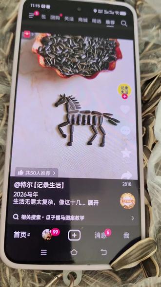 瓜子摆的马🐴,一看就会,一学就废😂#哪里不像#瓜子马#手工#瓜子画 #马年吉祥