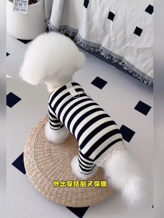 入秋了!便宜又好看的四脚打底衫赶紧给毛孩子安排#萌宠好物 #宠物衣服#超便宜超划算 #狗狗衣服推荐 #宠物用品