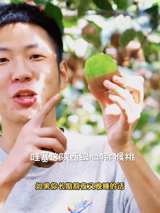 陕西徐香猕猴桃新鲜采摘头茬鲜果C#挖野菜日记 #音乐里的童年 #生活新选择 #在春天
