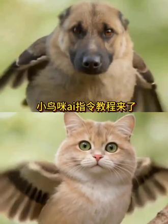 小鸟咪ai指令教程来了#AI小鸟咪#这是什么鸟 #ai萌宠进化 #小云雀AI #小云雀AI视频