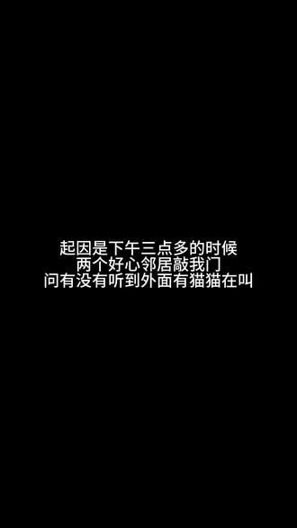 在荷兰救了一只中暑小猫 #荷兰生活 #哈基米