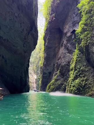 努力不能保证成功#曾仕强经典语录