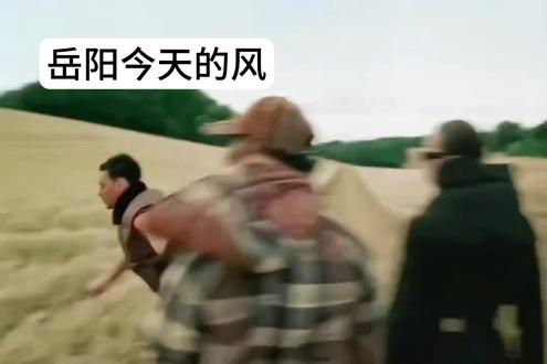 信不信今天让你飞起来#降温 #岳阳 #大风