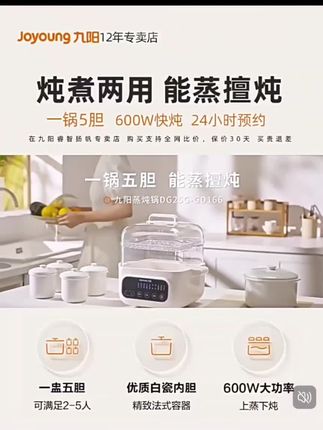 炖盅家用隔水炖全自动上蒸下炖陶瓷煲汤电蒸炖锅GD166#每日分享 #强烈推荐 #厨房好物 #好物分享 #厨房小家电