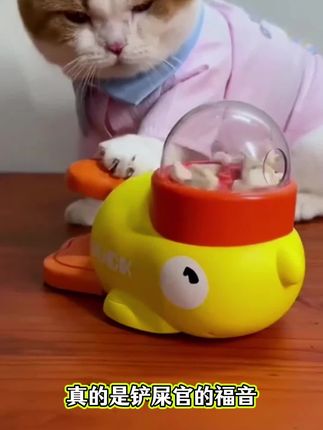 猫狗自嗨漏食神器#萌宠玩具 #自动投喂器#猫狗喂食器