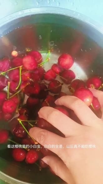 樱桃里这么多小白虫,以后真不能吃了