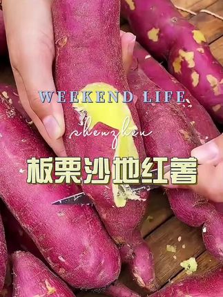 #沙地蜜薯#口感特别好价格实惠 #价格实惠质量好 #超便宜超划算 #蜜薯