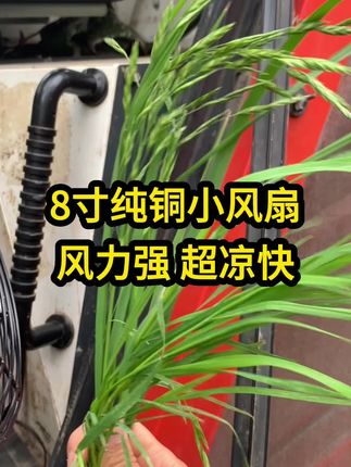 8寸纯铜小风扇,风力强超凉快#三农#现代农业机械 #技术分享 #高性能实用工具 #服务三农支持三农