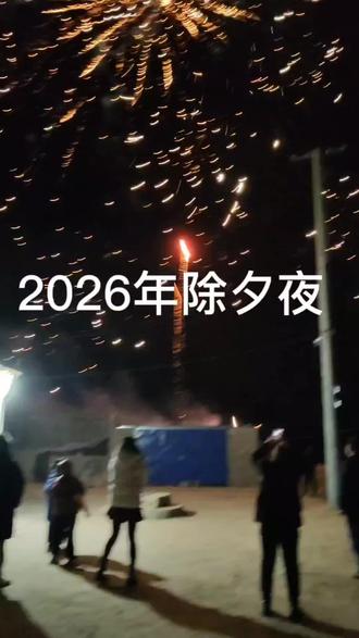 #除夕夜快乐 #过年好#新春快乐万事如意 #新年快乐#马年说马