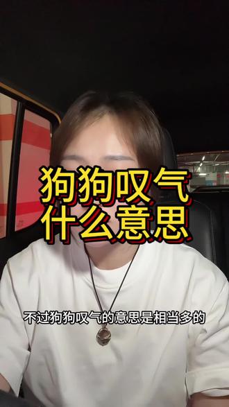 狗狗为什么叹气#狗狗#养狗经验分享 #养狗的乐趣