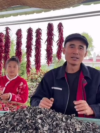 东北山里天然生长木耳炒鸡蛋炒葱丝炒肉包陷涮火锅凉拌(秋木耳)#优质农产品 #家乡特产 #农家土特产 #土特产干货 #健康食品