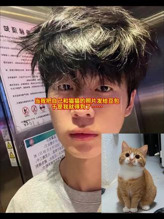 世界不能没有小猫咪,和猫猫相拥ai指令教程来啦#梨花猫#豆包ai#和宠物合照#豆包p图指令#热门