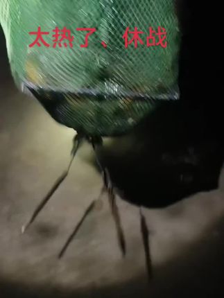 大早上的汗水直流,38度的高温一点风都没有!你们先搞吧,我们的队伍所有人员歇业了!太热了不能干、