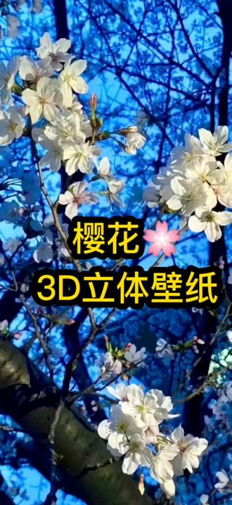 超级漂亮的裸眼3D立体壁纸,教程来啦!#剪映 #壁纸 #裸眼3d #立体壁纸 #手机锁屏