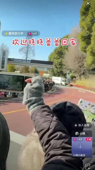 北京时间2026年1月27日中午12点多,旅居日本最后的两只大熊猫双胞胎兄妹晓晓蕾蕾离开日本上野动物园前往成田机场,预计晚上8 点起飞,28日凌晨到达成都天府机场,欢迎宝贝们回家!祝宝贝们一路顺风!日本全国再无大熊猫!#大熊猫宝力#大熊猫青宝#大熊猫云川#大熊猫鑫宝