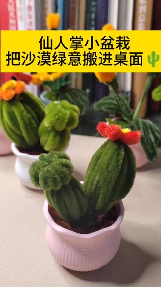桌面绿洲~小小仙人掌
#手工diy #创意手工 #室内绿植 #手作 #手工