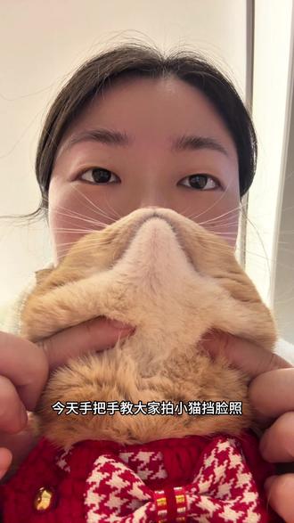 谁的小猫还没拍过挡脸照啊!速来学#一张照片证明你的宠物被你养的很好 #它真的好像个小宝宝 #猫咪挡脸照