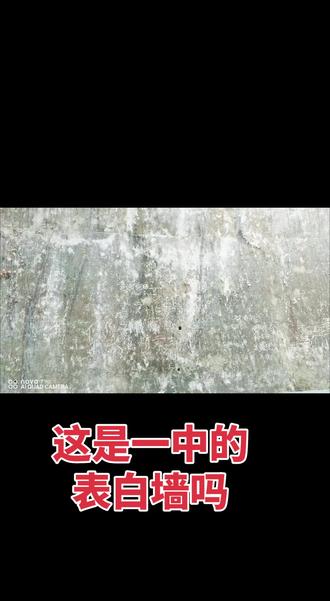 #校园生活 :若是把这一片墙刷成黑板,放上粉笔,让会写诗的写诗,绘画的绘画,书法的写字……然后墙上方沿墙种一排迎春花,待春暖在开时,这里会不会成学生一生的回忆?