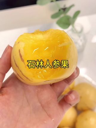云南石林树上熟人参果,一口爆汁,清甜奶香超好吃!#人参果 #应季水果 #新鲜采摘 #快来一起尝个鲜 #优质农产品
