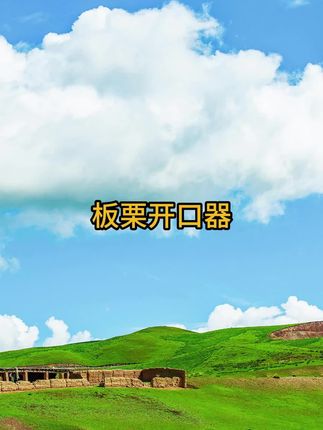 板栗开口器剥板栗神器栗子去皮机剥壳夹子板栗外壳剪刀工具剥壳机#板栗开口器 #板栗剥壳剪刀