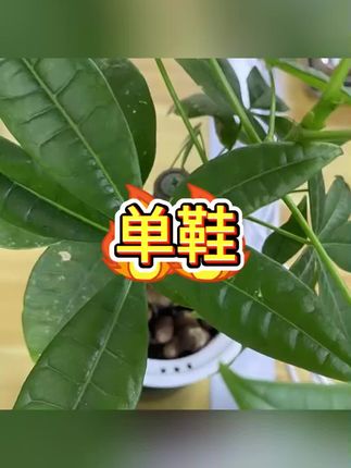 #单鞋 #高跟鞋 #女鞋