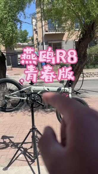 燕鸥R8青春版#折叠车 #折叠车推荐 #折叠自行车#大行折叠自行车 #燕鸥折叠车