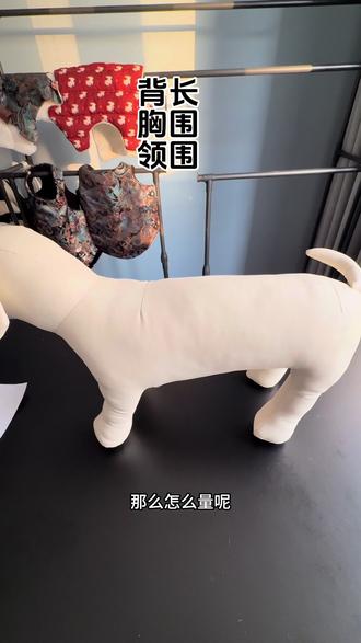 宠物打版教学之狗狗量体