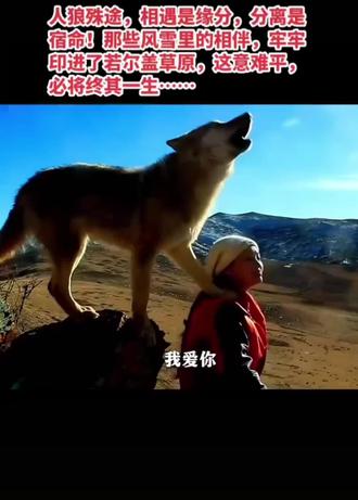 这几天连刷几天格林的视频,看一次哭一次,万物皆有灵性,一个狼能收藏人类妈妈七年的红丝巾,是感恩,是想念,在人们的认知里,狼是残忍的,没感情的生物,其实它比人的感情,更细腻,更纯粹,更真诚。#格林 #重返狼群