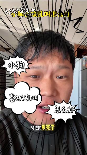 小狗刚到家喜欢乱喊乱叫#宠物#养狗经验分享 #新手养狗#抖音生活观察计划