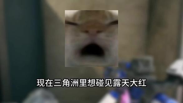 要不要一起玩绝密航天#三角洲 #寻宝鼠 #非洲之心